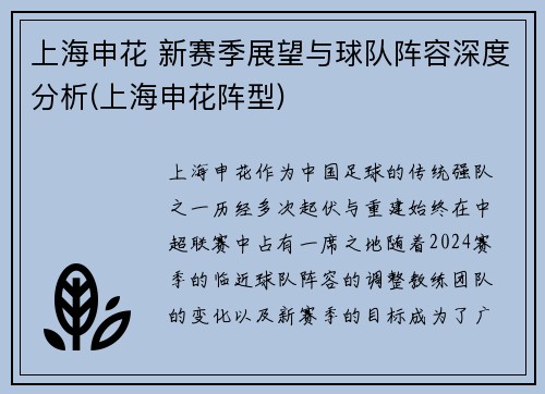 上海申花 新赛季展望与球队阵容深度分析(上海申花阵型)