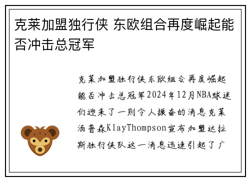 克莱加盟独行侠 东欧组合再度崛起能否冲击总冠军