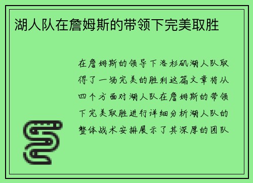 湖人队在詹姆斯的带领下完美取胜